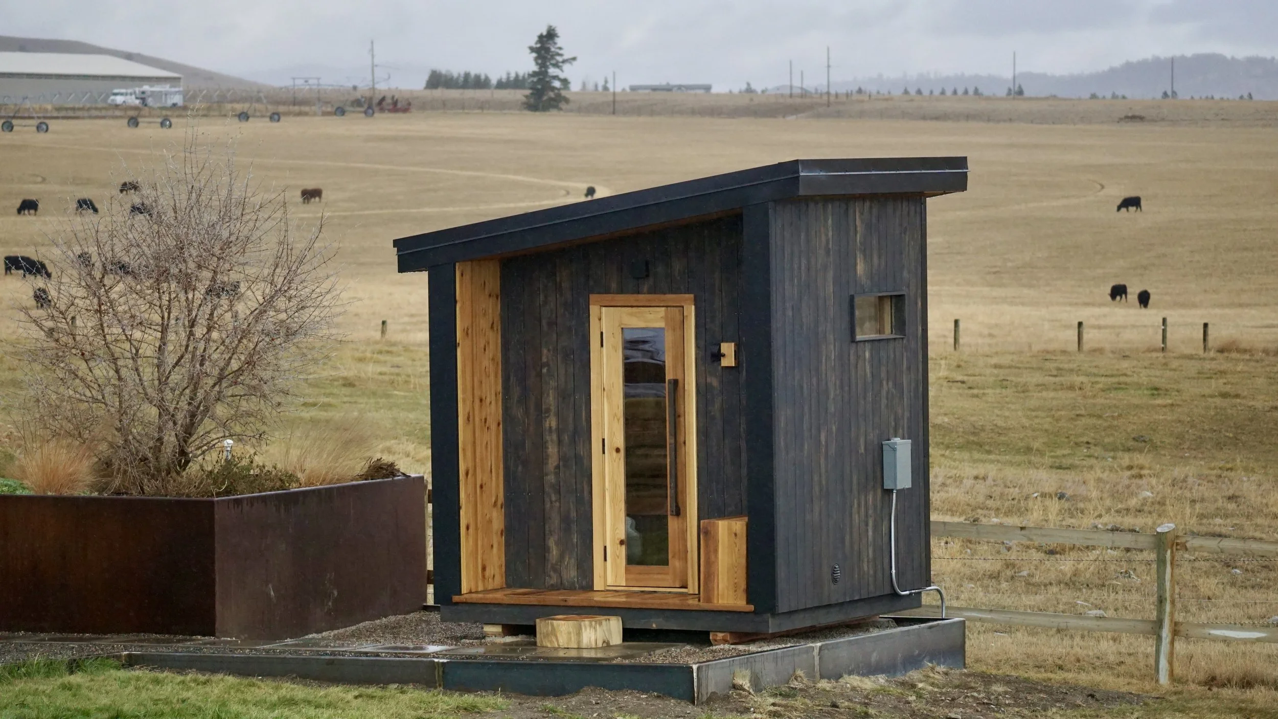 Dark sauna with cedar door standing in open ranchland with cattle grazing behind