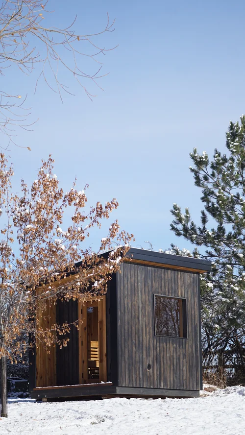 Blackened sauna in fresh snow beneath an autumn tree and pines under a blue sky