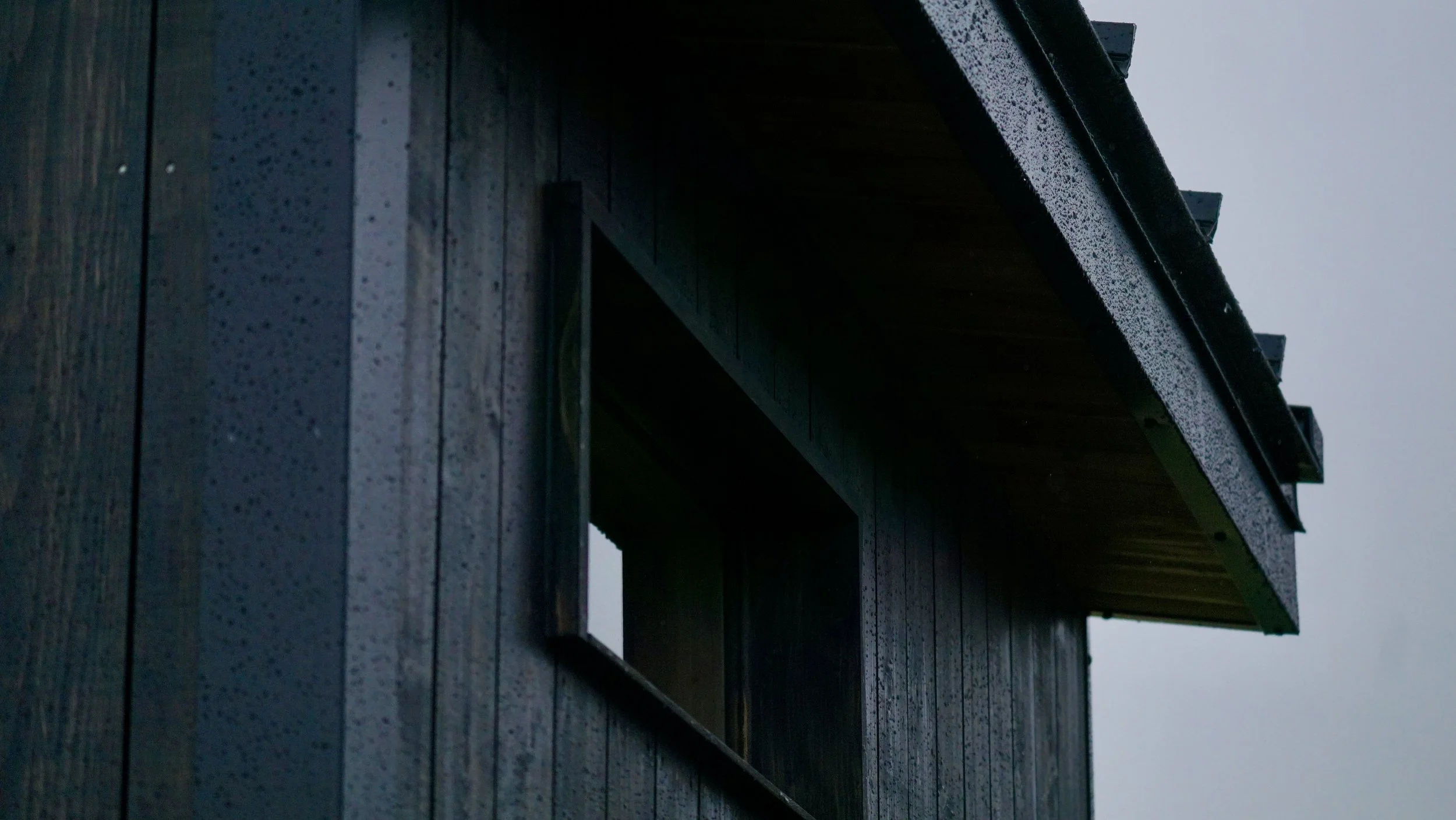 Low-angle view of the sloped dark roofline against the sky